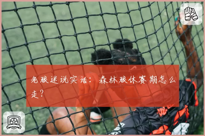 老狼迷说实话：森林狼休赛期怎么走？