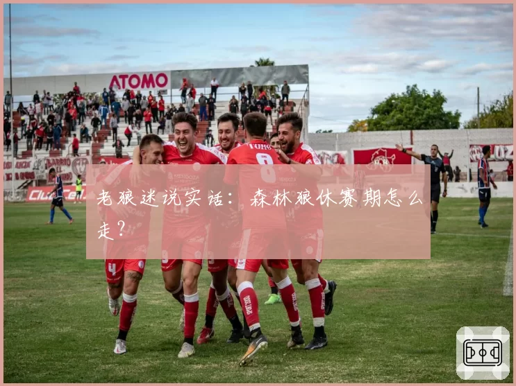 老狼迷说实话：森林狼休赛期怎么走？
