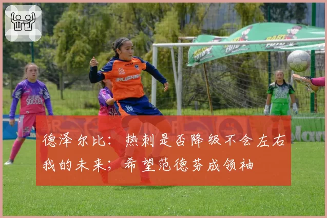 德泽尔比：热刺是否降级不会左右我的未来；希望范德芬成领袖