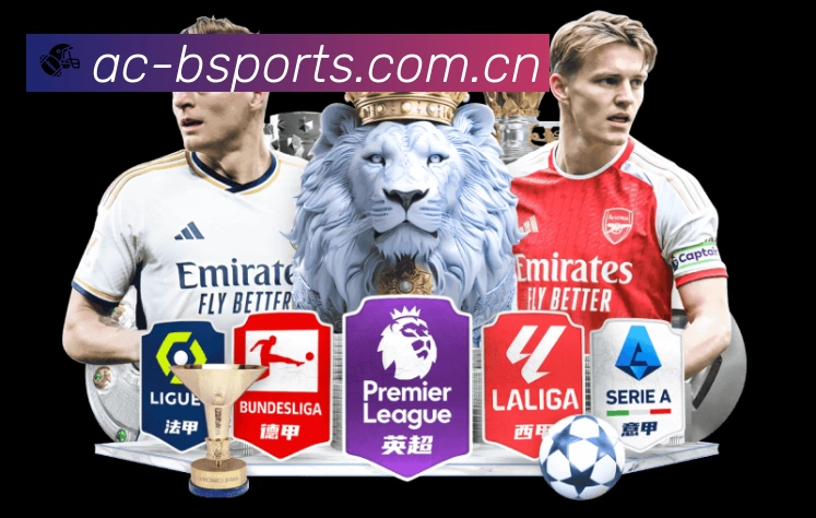 安全使用与支持流程